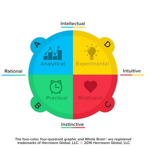 whole-brain-model-2016